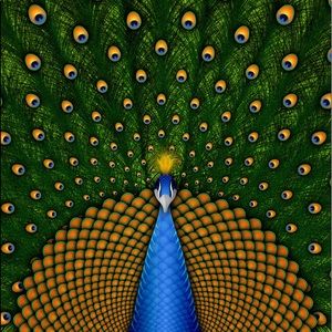 Meet your Posher, Sam